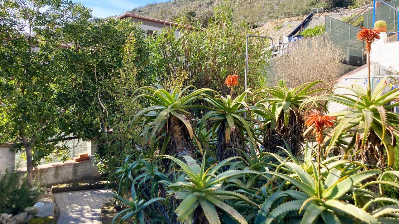 Villa Solana - Argonautivacanze Portoferraio Exterior foto